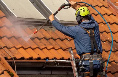 Démoussage et hydrofuge de toiture à Morbier